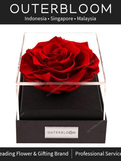 Outerbloom Astoria - Passionate Red / Bunga Mawar Merah untuk bunga anniversary OUTBUN1058