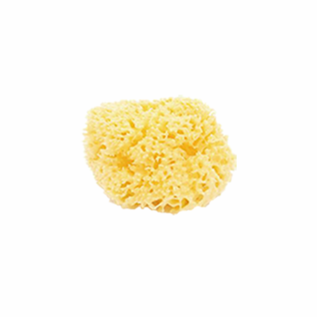 Bellini Natural Sea Sponge Honeycomb No. 12