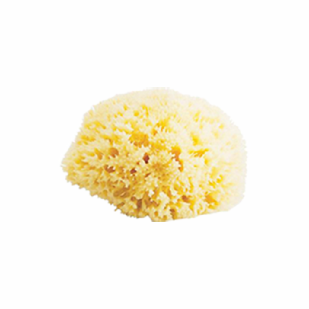 Bellini Natural Sea Sponge Honeycomb No. 14